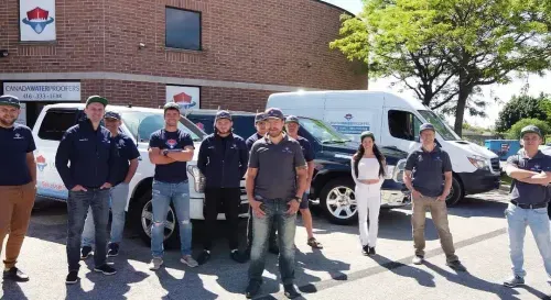 Trusted Basement Waterproofing & Drainage Company— at a Fair Price